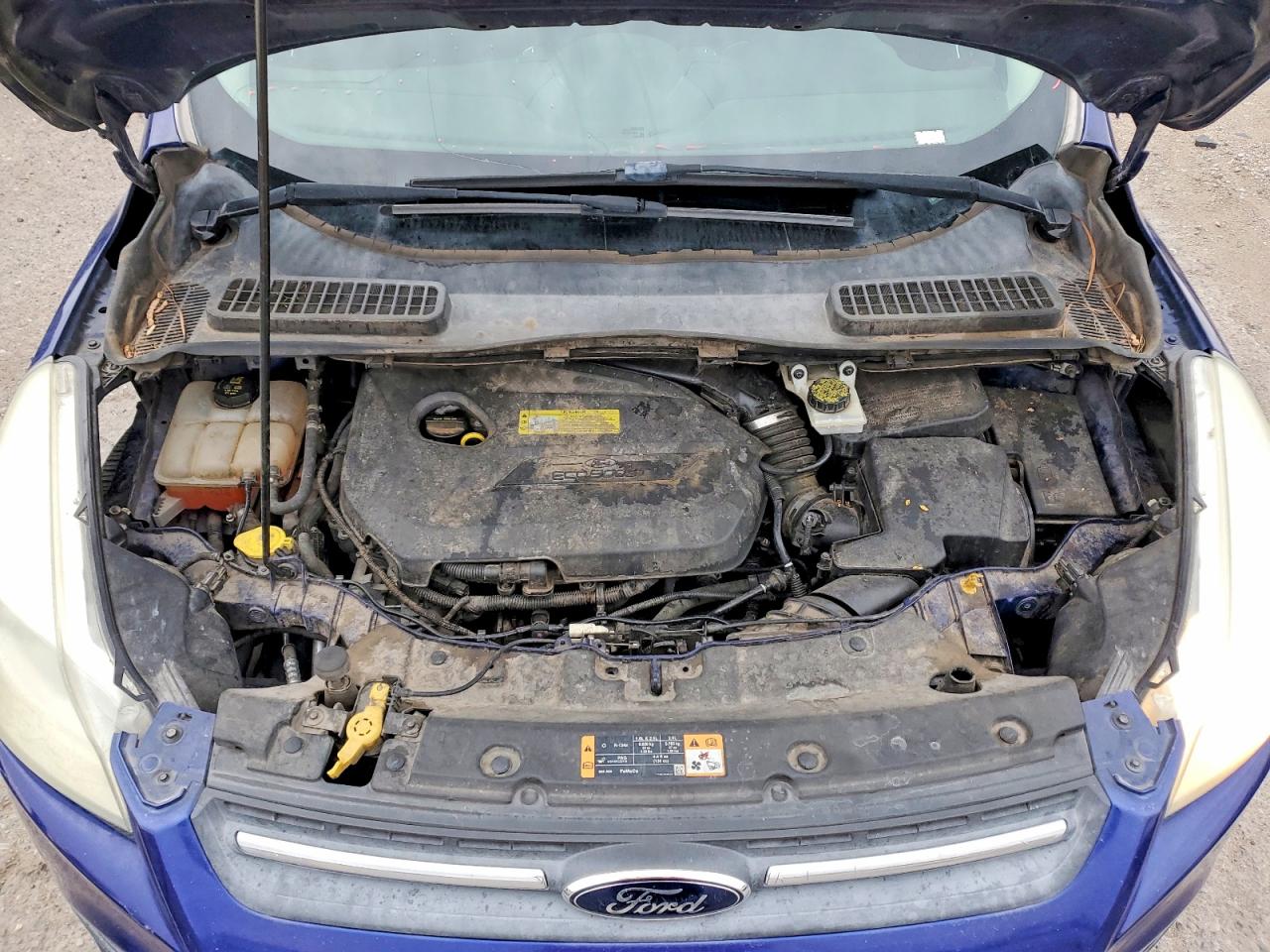 2014 FORD ESCAPE SE photo 11