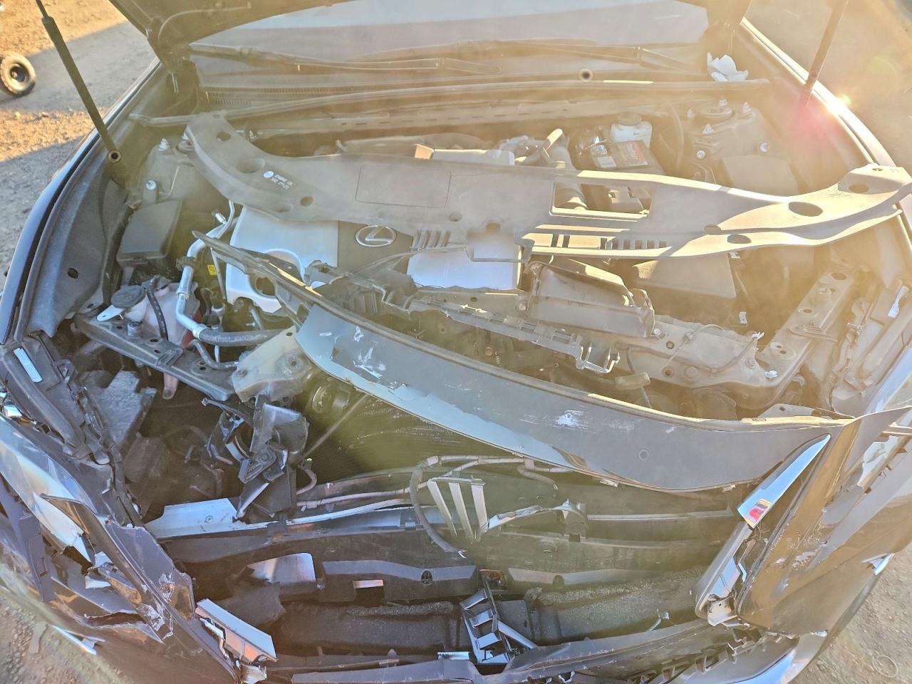 2019 LEXUS ES 350 photo 11