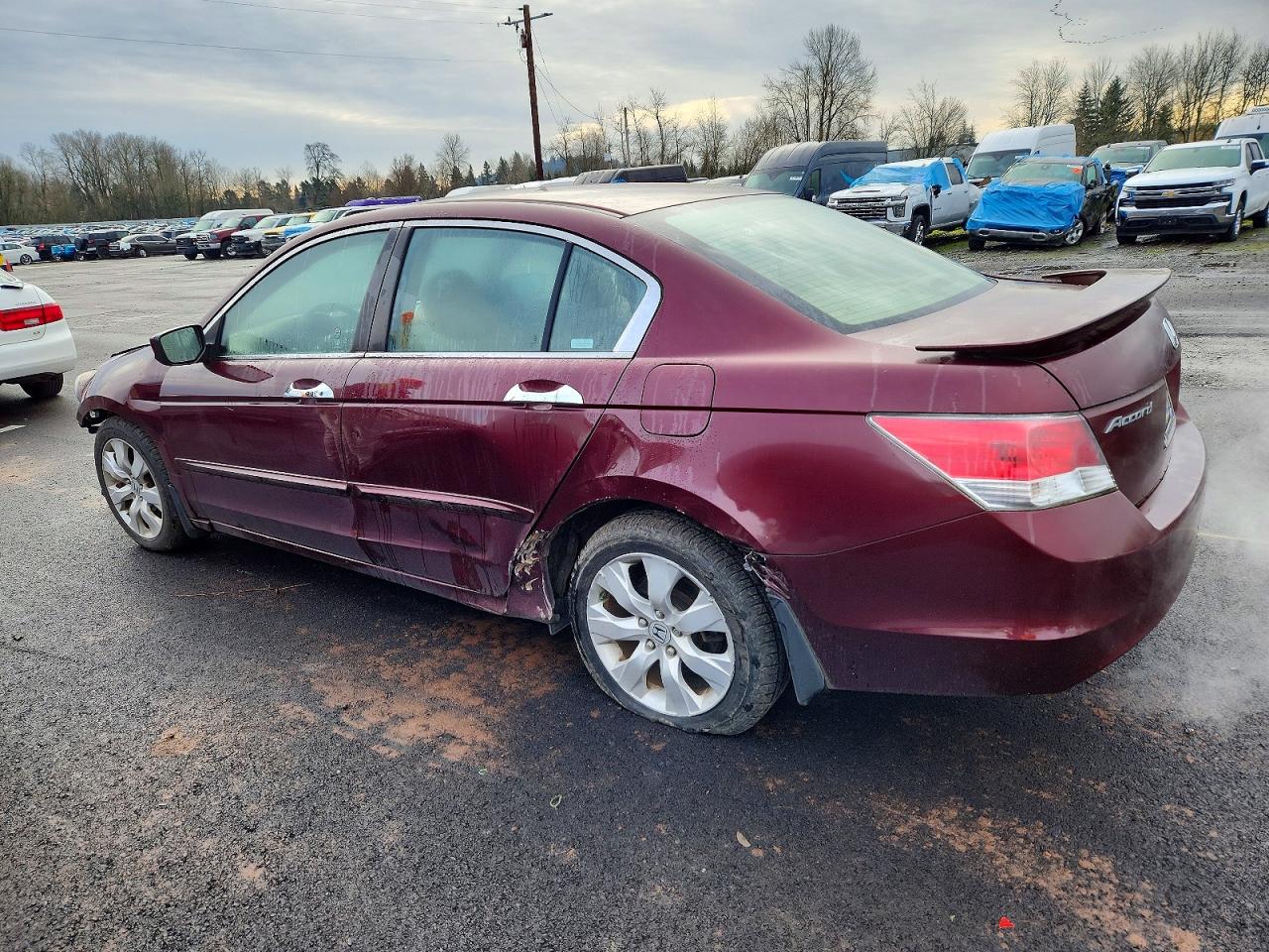 2008 HONDA ACCORD EX photo 3