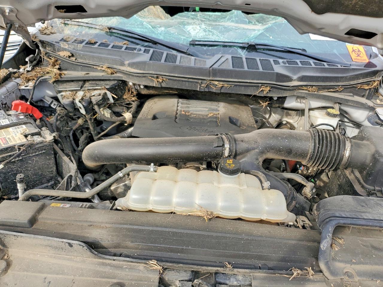 2023 FORD F150 SUPERCREW photo 11