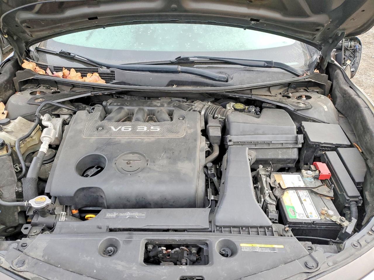 2013 NISSAN ALTIMA 3.5S photo 11