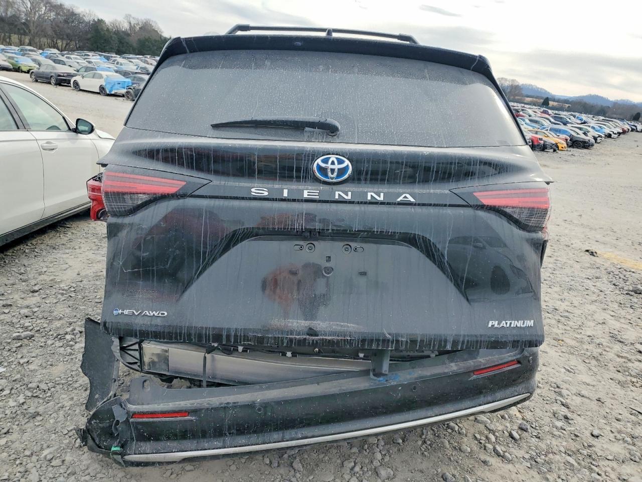 2025 TOYOTA SIENNA PLATINUM 7-PASSENGER photo 6