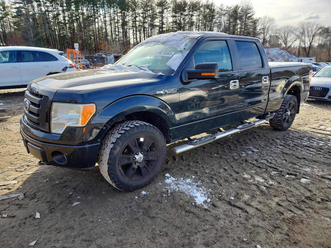 2010 FORD F150