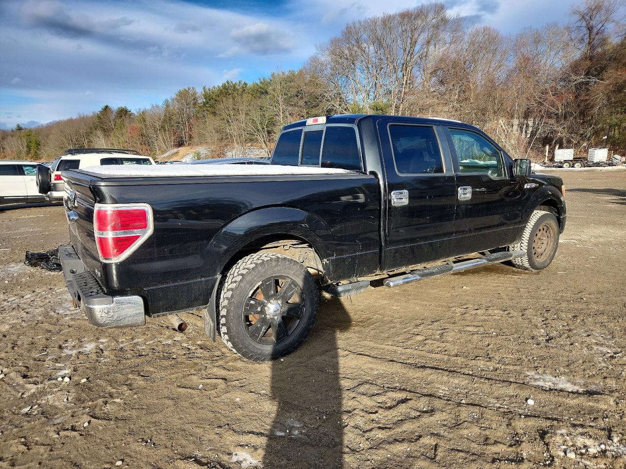 2010 FORD F150 SUPERCREW photo 3