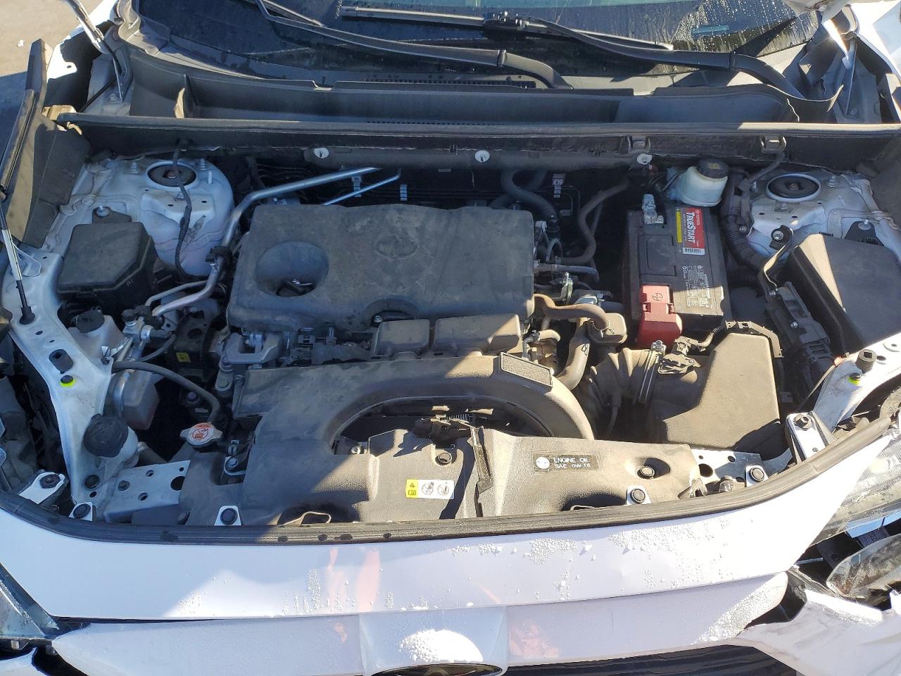 2019 TOYOTA RAV4 XLE photo 12