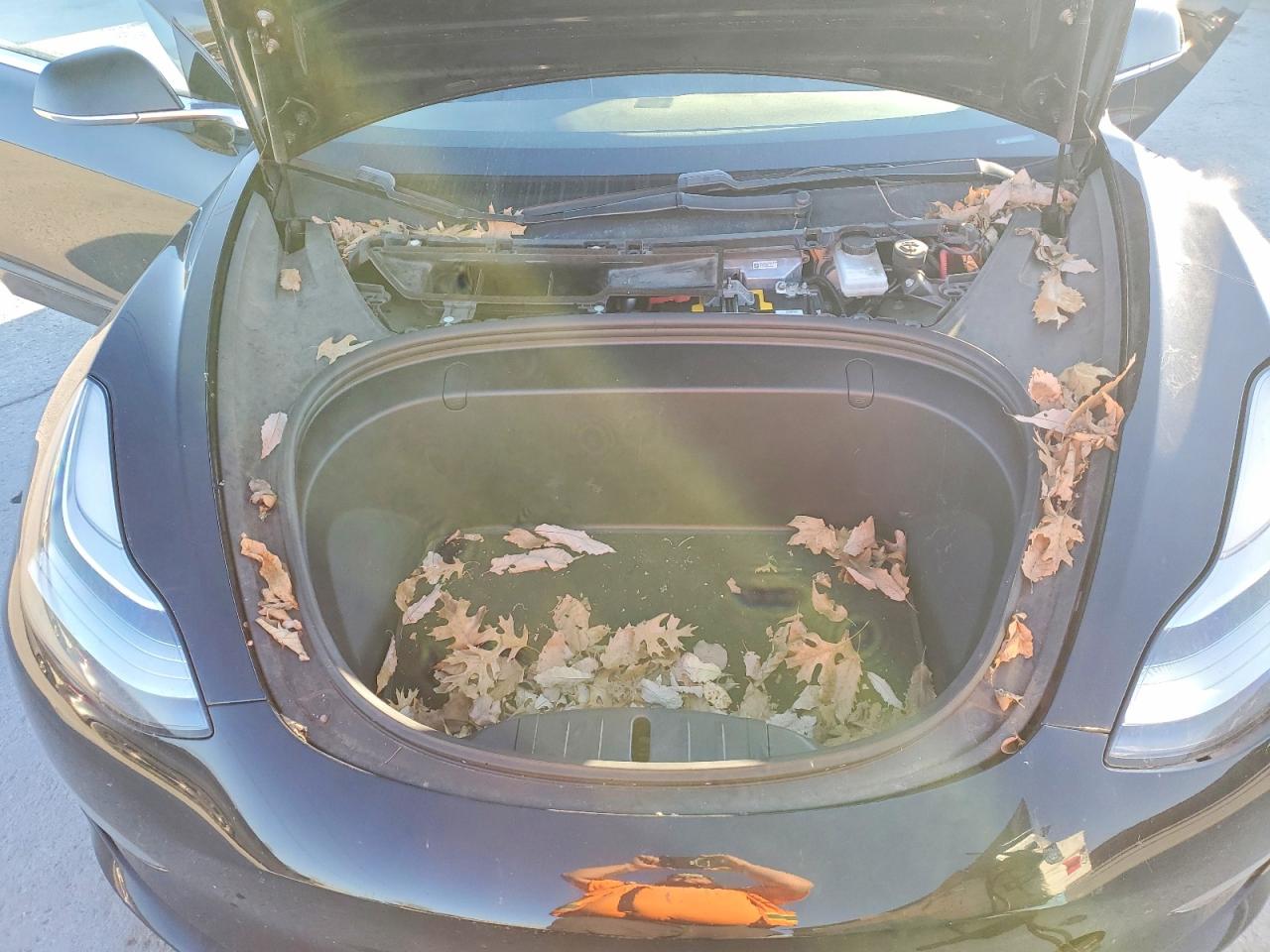 2018 TESLA MODEL 3 photo 11