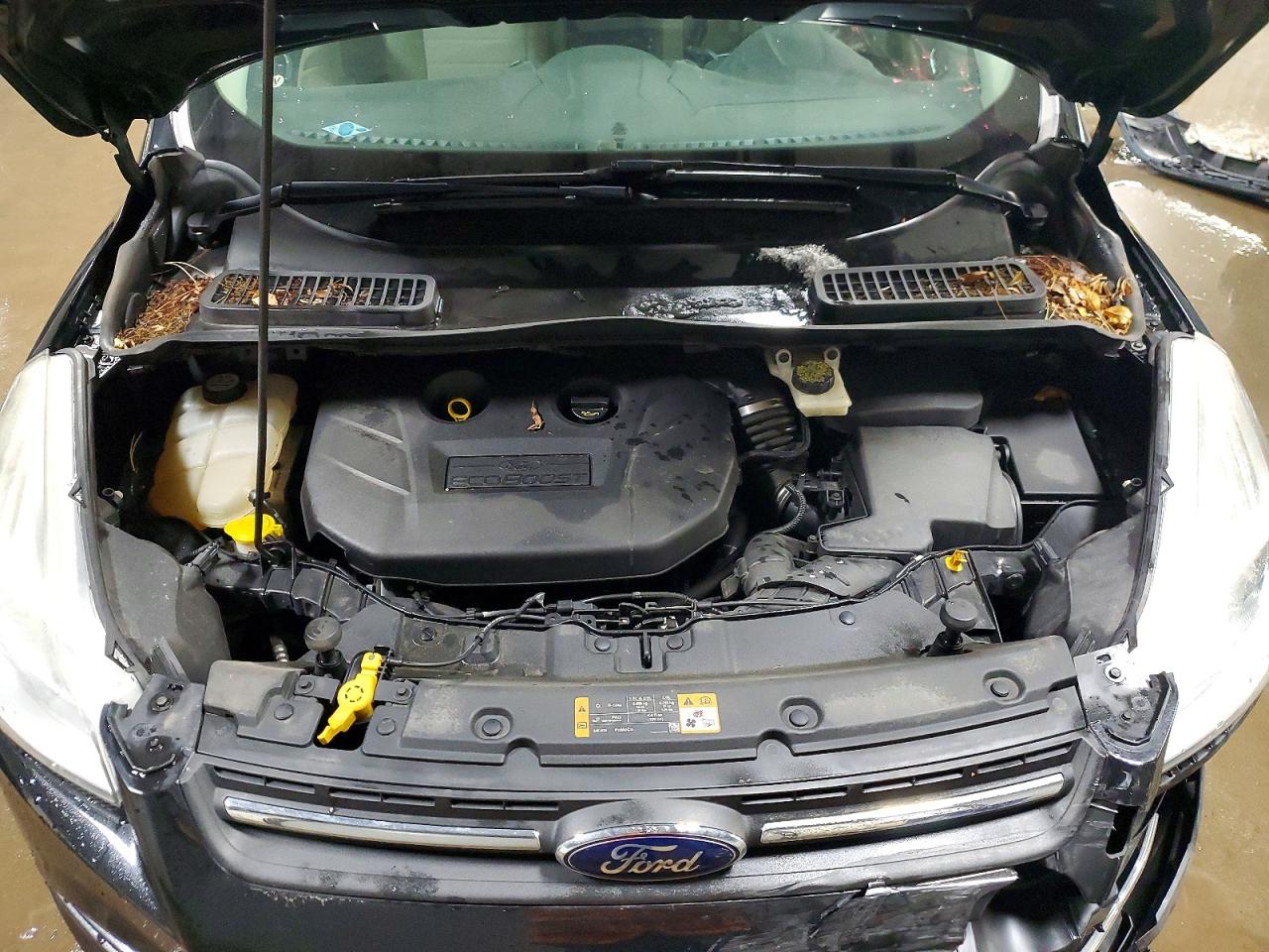 2013 FORD ESCAPE SE photo 11