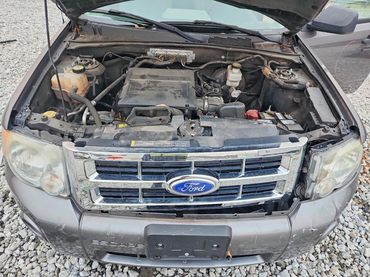 2011 FORD ESCAPE XLT photo 12