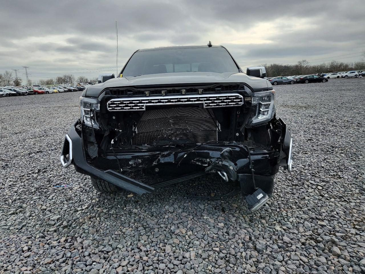 2020 GMC SIERRA K1500 DENALI photo 5