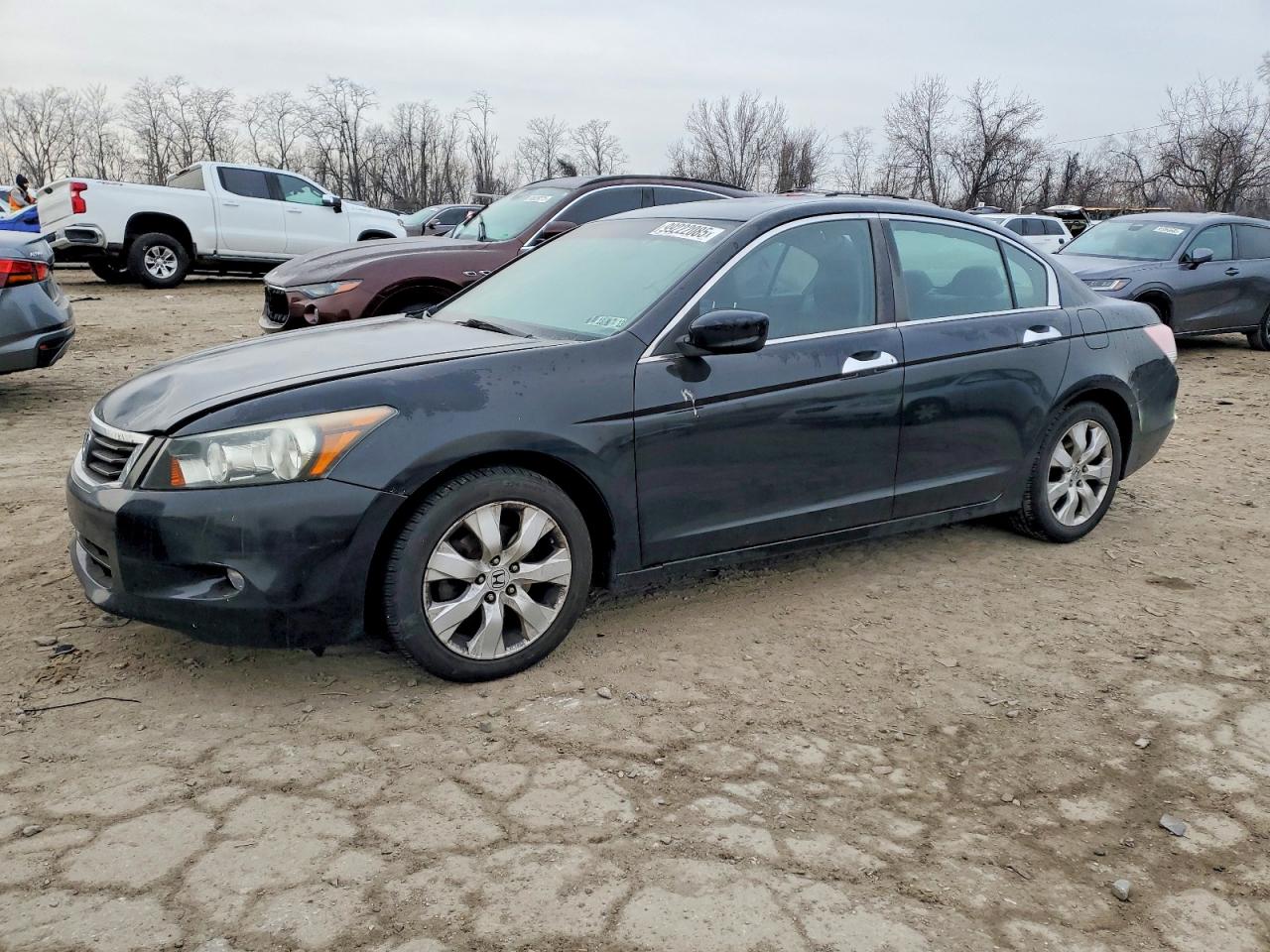 2010 HONDA ACCORD