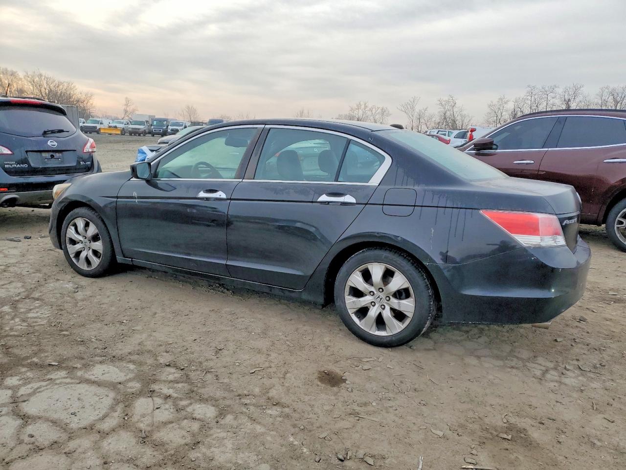 2010 HONDA ACCORD EXL photo 2