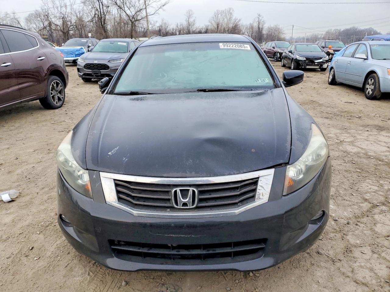2010 HONDA ACCORD EXL photo 5