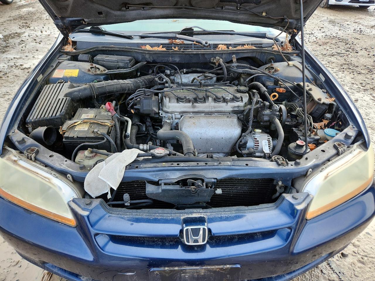 1999 HONDA ACCORD EX photo 11