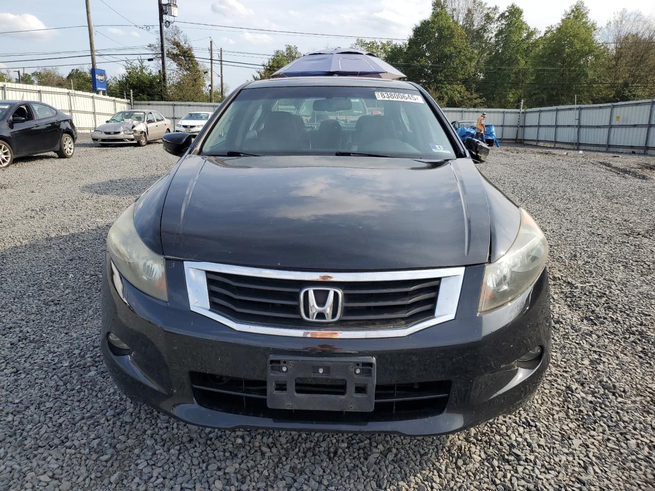 2008 HONDA ACCORD EXL photo 5