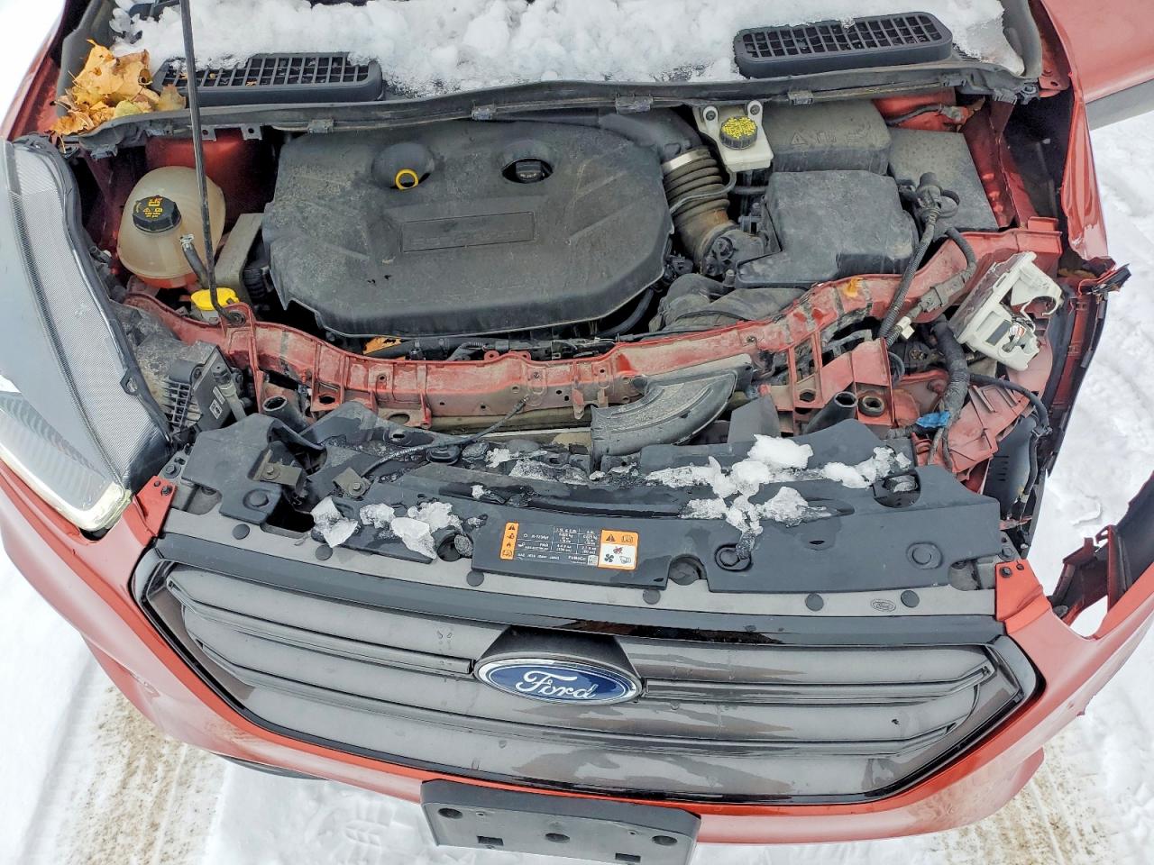 2019 FORD ESCAPE SEL photo 12