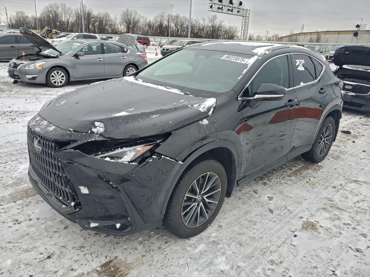 2025 LEXUS NX