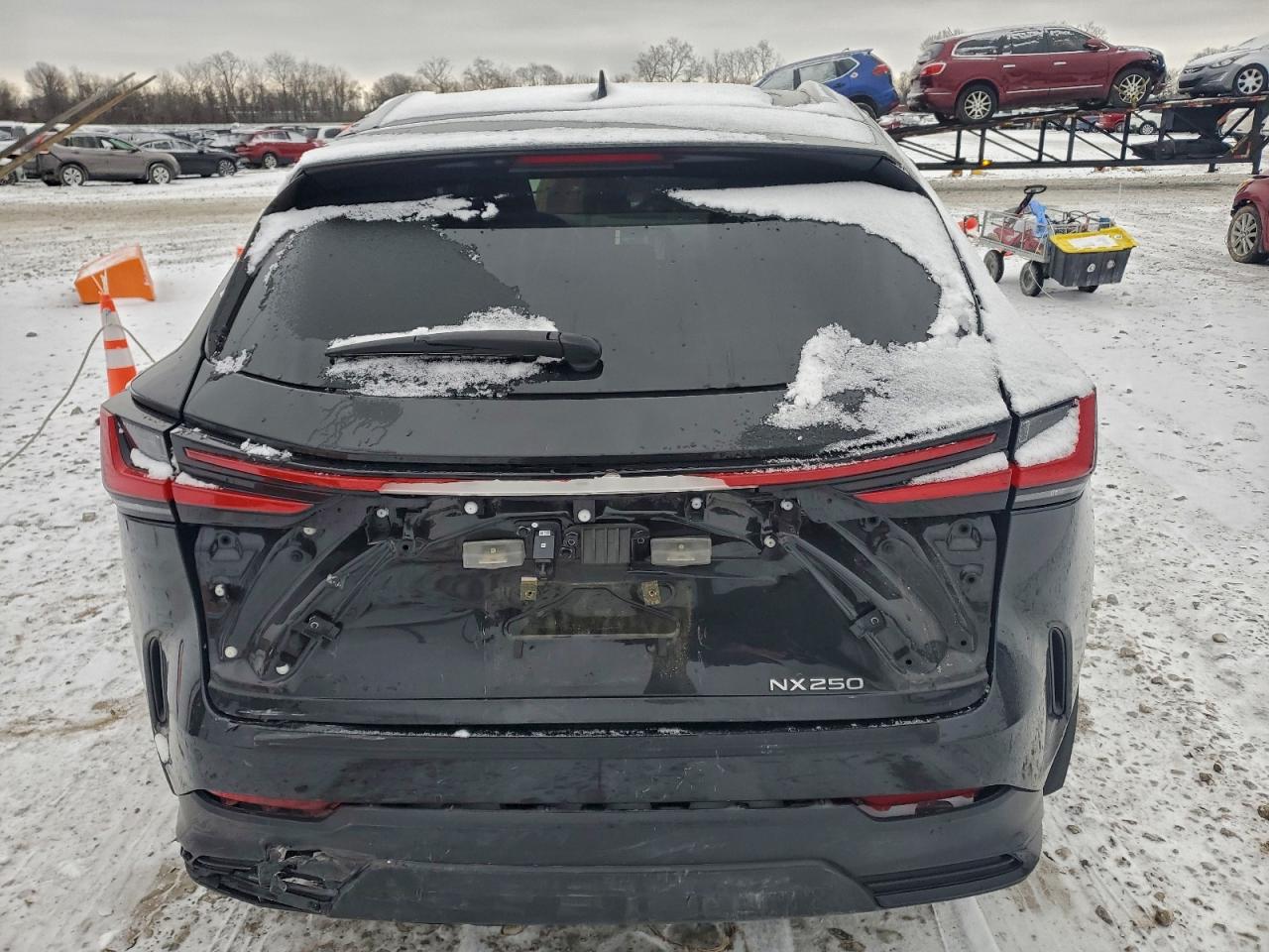 2025 LEXUS NX 250 BASE photo 6