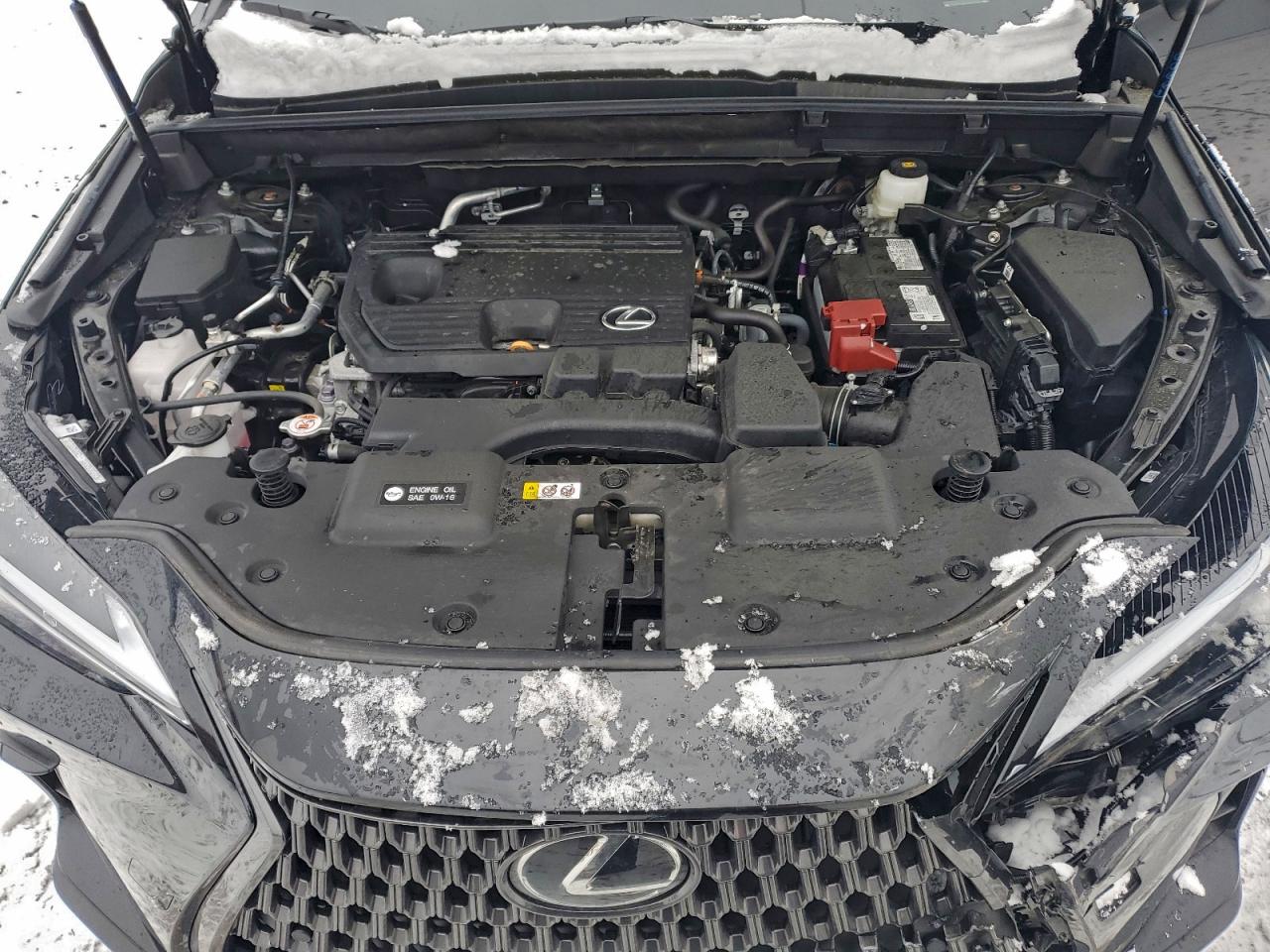 2025 LEXUS NX 250 BASE photo 12