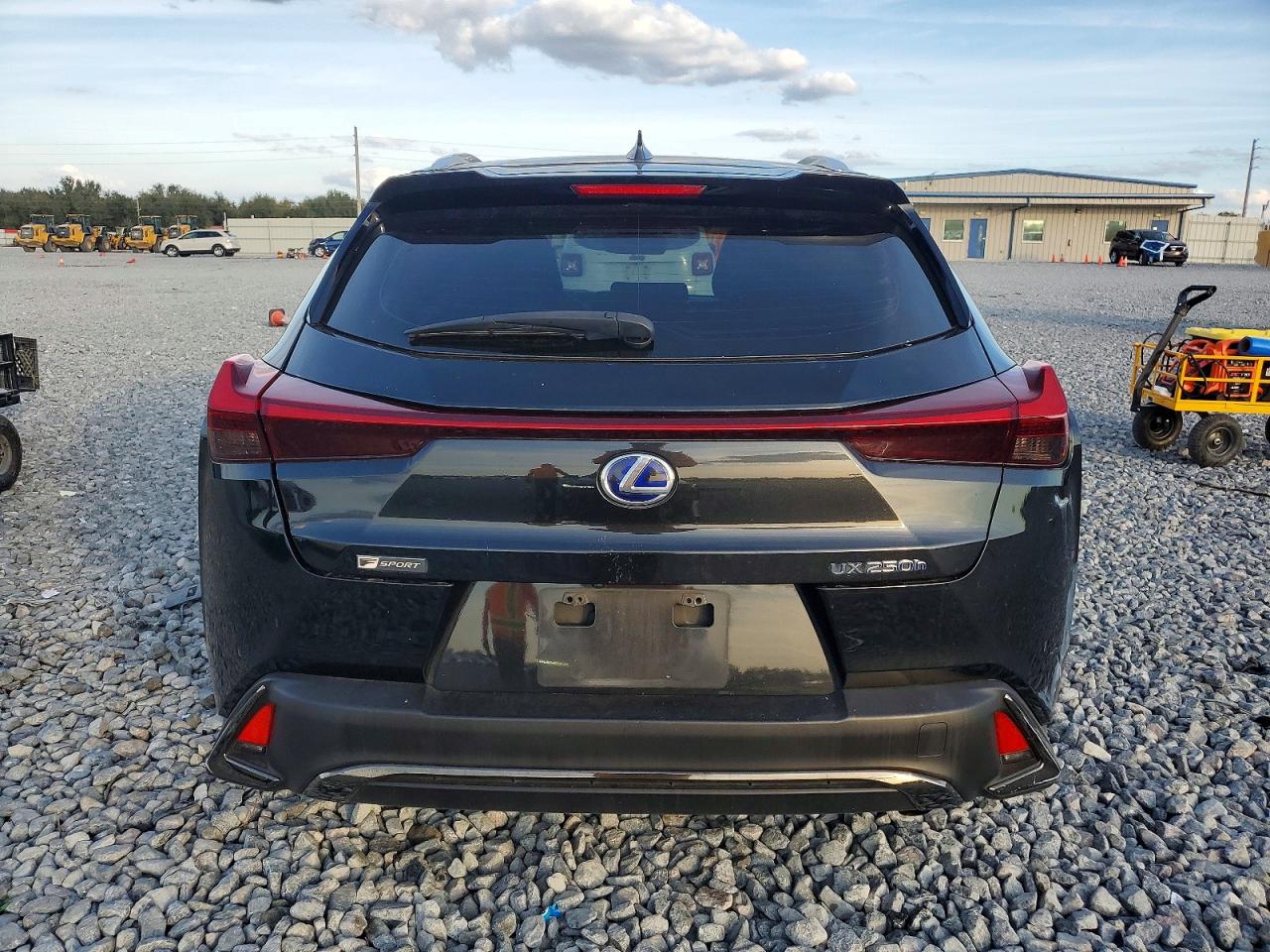 2019 LEXUS UX 250H photo 6