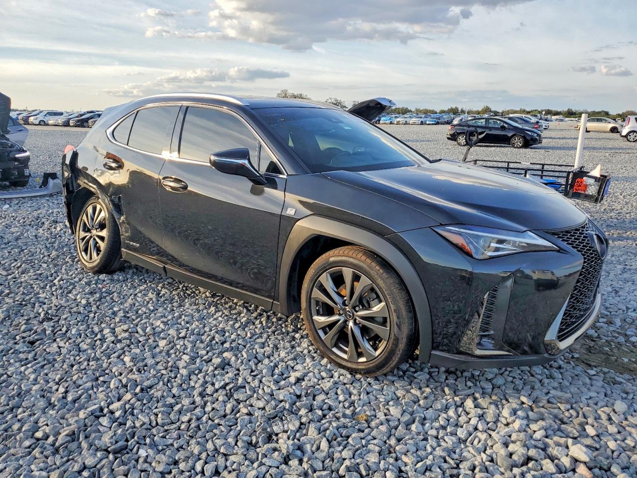 2019 LEXUS UX 250H photo 4