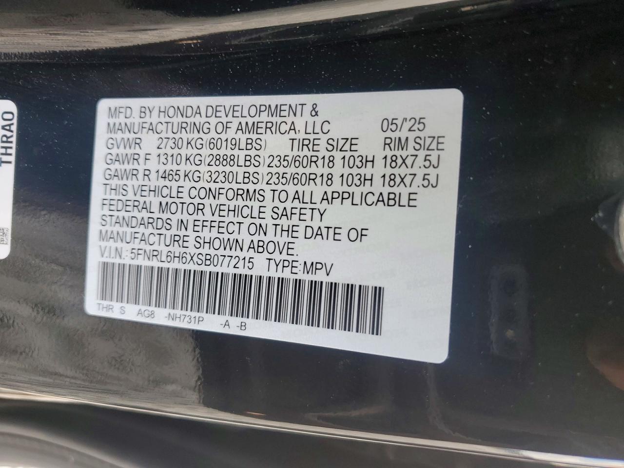 2025 HONDA ODYSSEY EXL photo 12