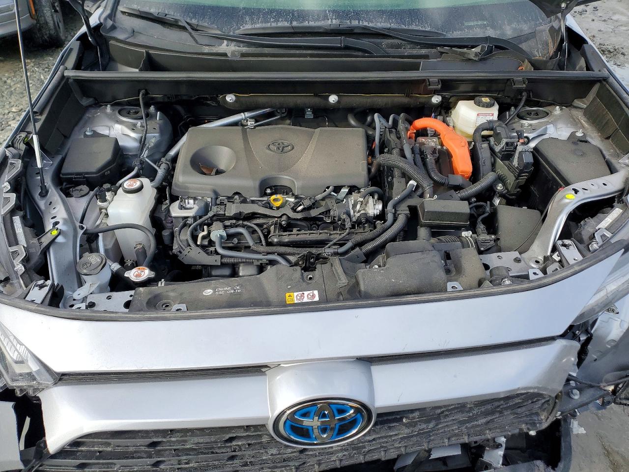 2024 TOYOTA RAV4 XLE photo 12