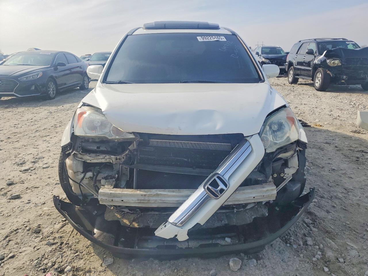 2009 HONDA CR-V EXL photo 5