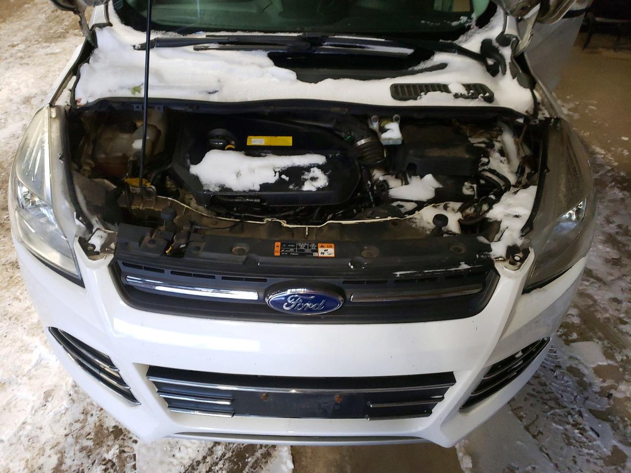 2016 FORD ESCAPE SE photo 12