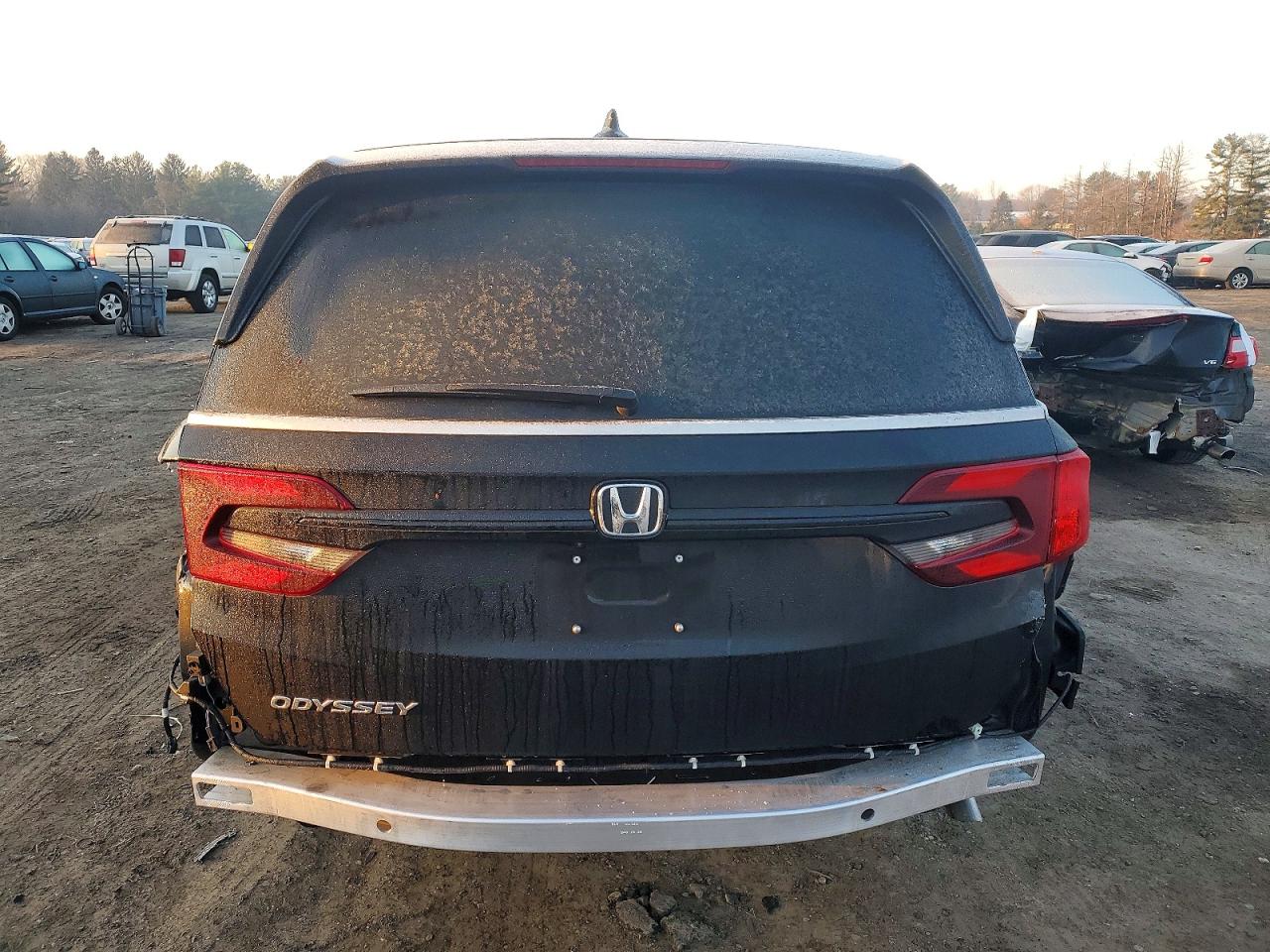 2026 HONDA ODYSSEY EXL photo 6