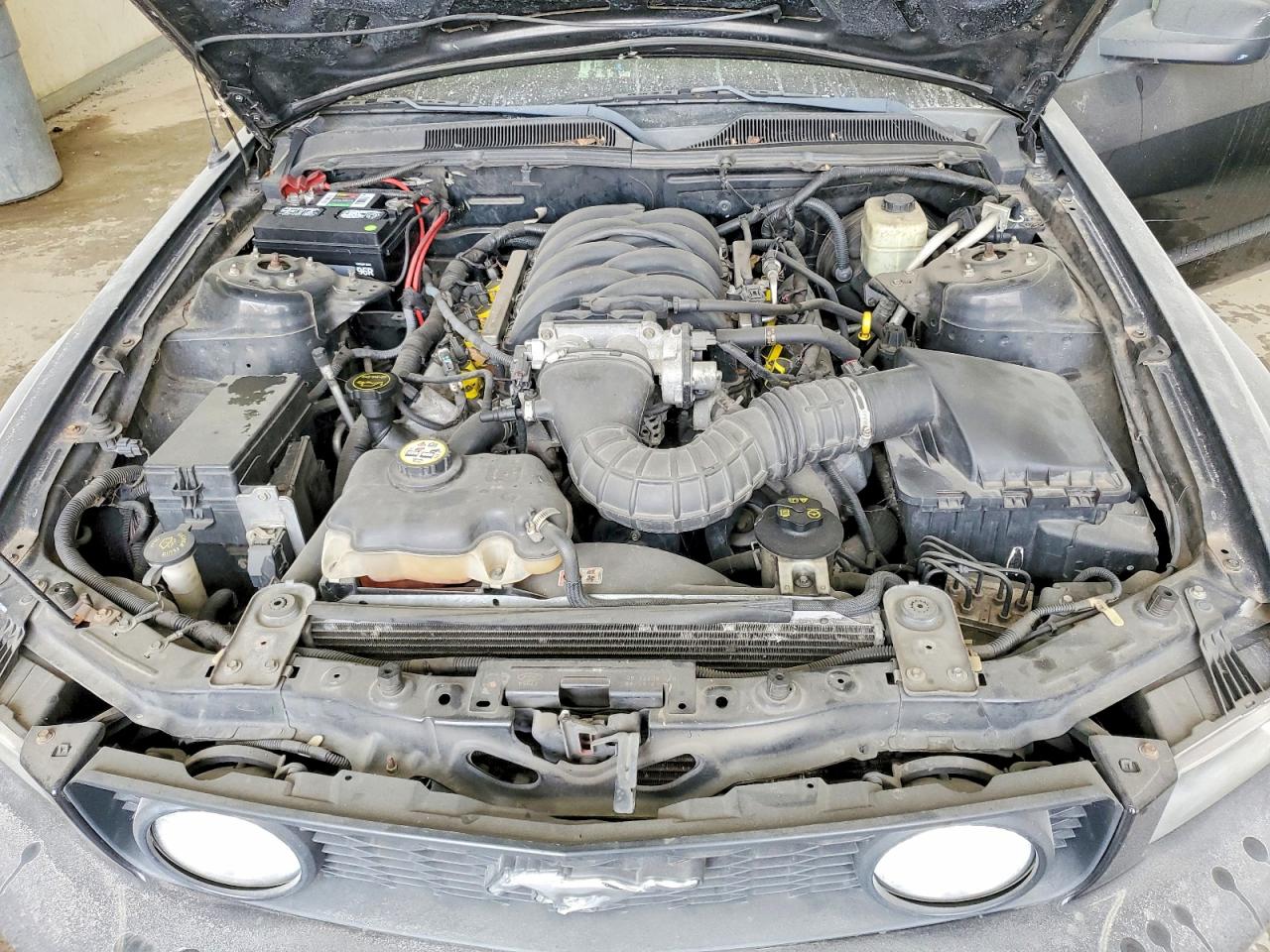 2006 FORD MUSTANG GT photo 11