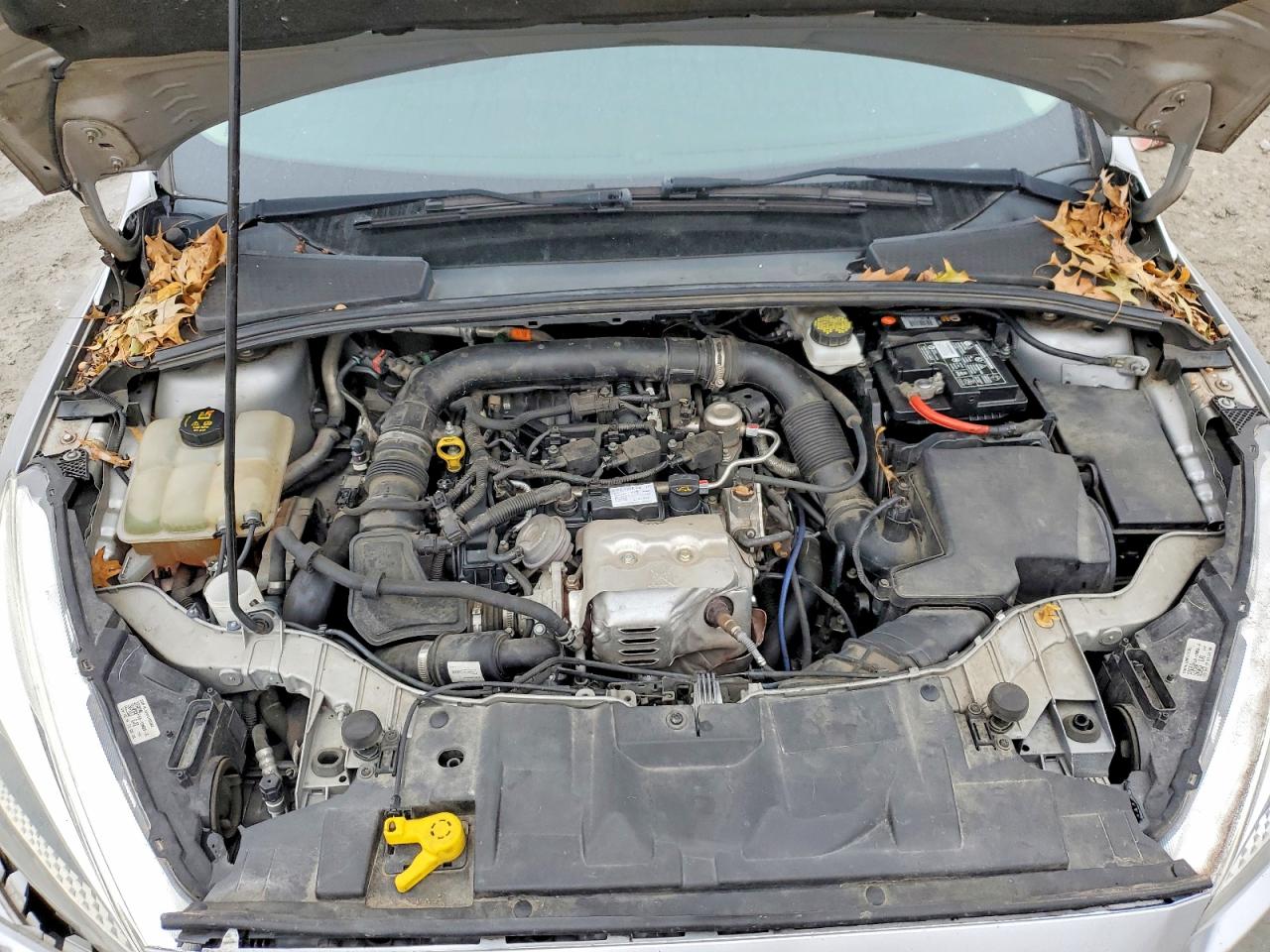 2018 FORD FOCUS SE photo 11