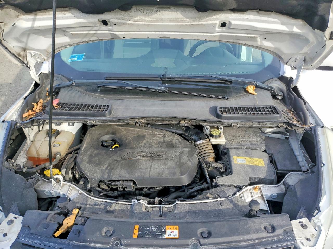 2013 FORD ESCAPE SE photo 12