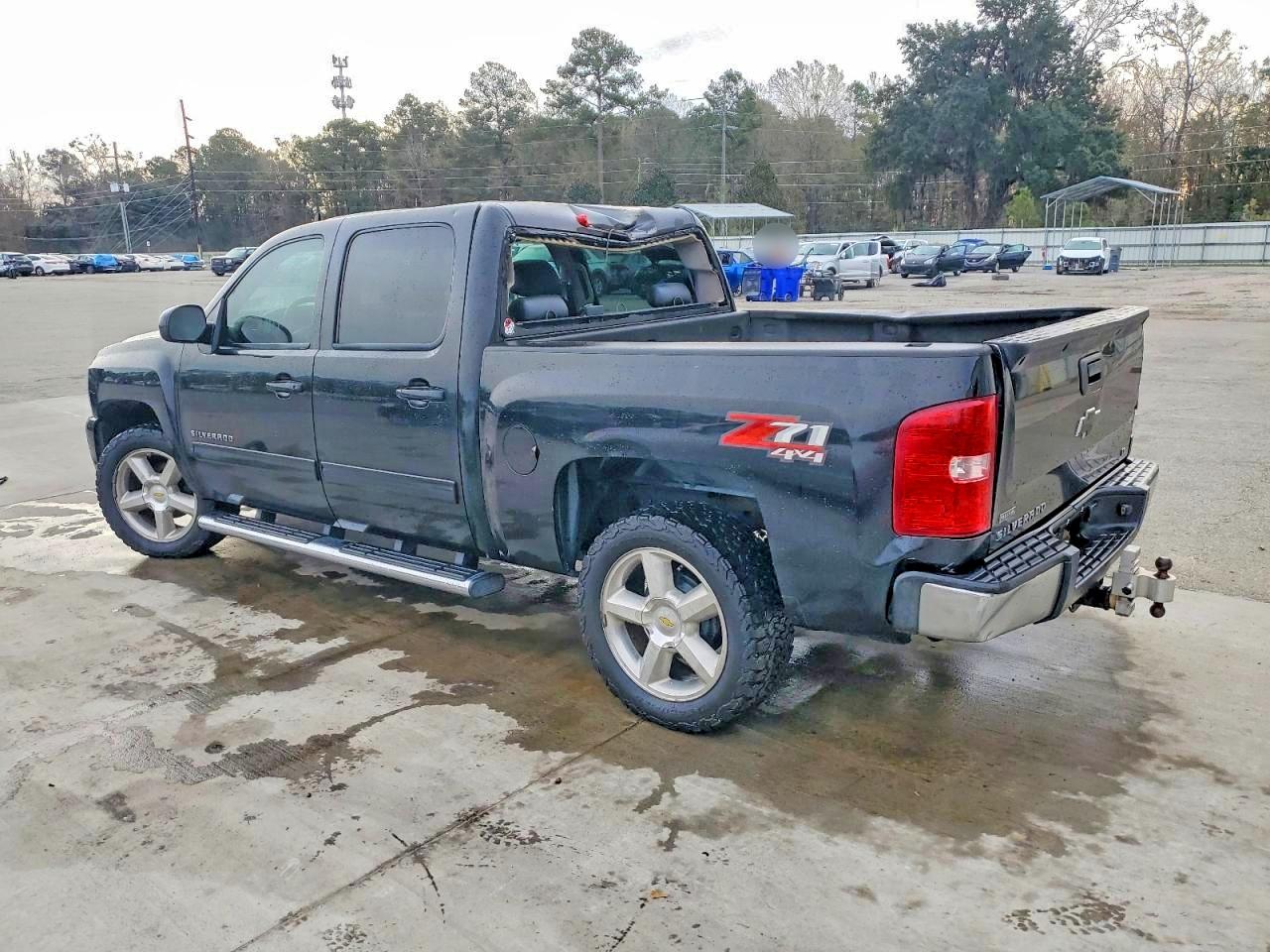 2010 CHEVROLET SILVERADO K1500 LT photo 2