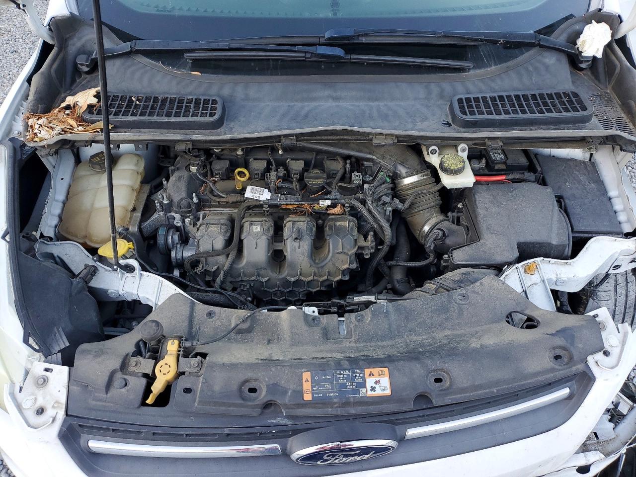 2014 FORD ESCAPE SE photo 11