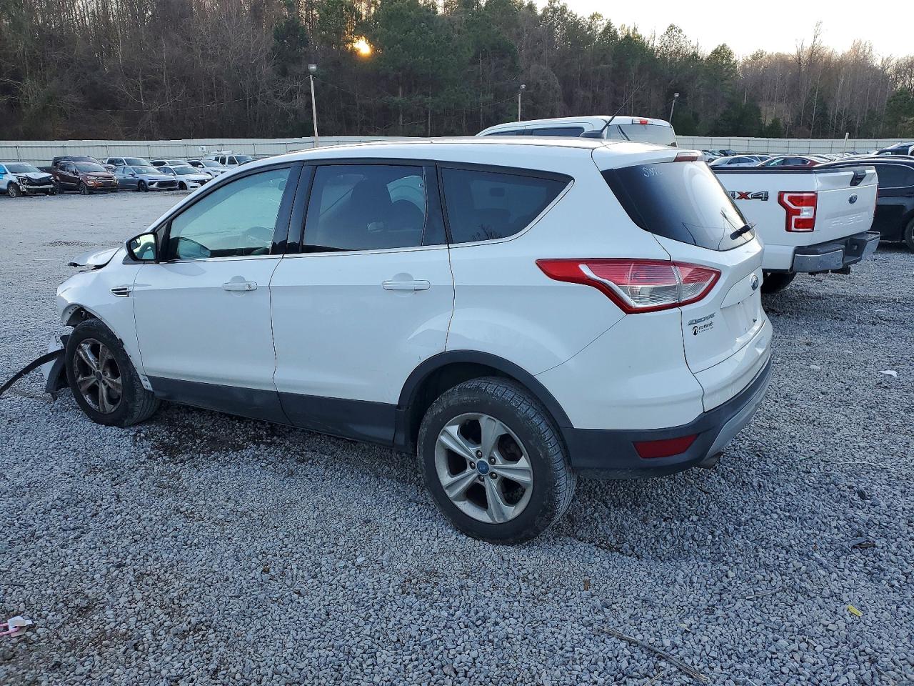 2014 FORD ESCAPE SE photo 2