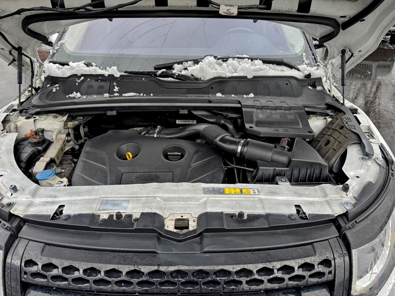 2016 LAND ROVER RANGE ROVER EVOQUE SE photo 12