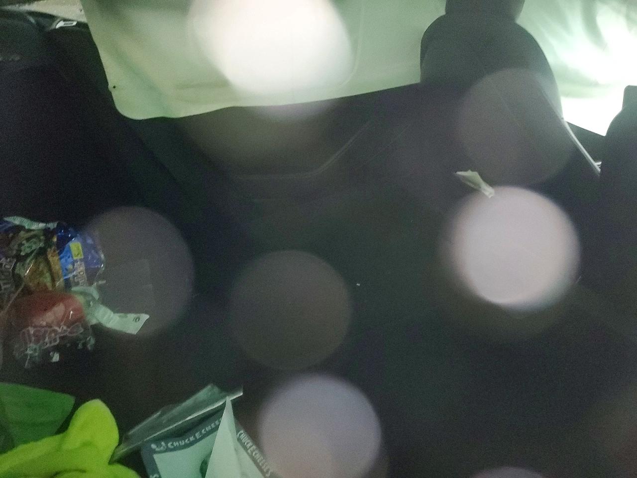 2022 TESLA MODEL 3 photo 10