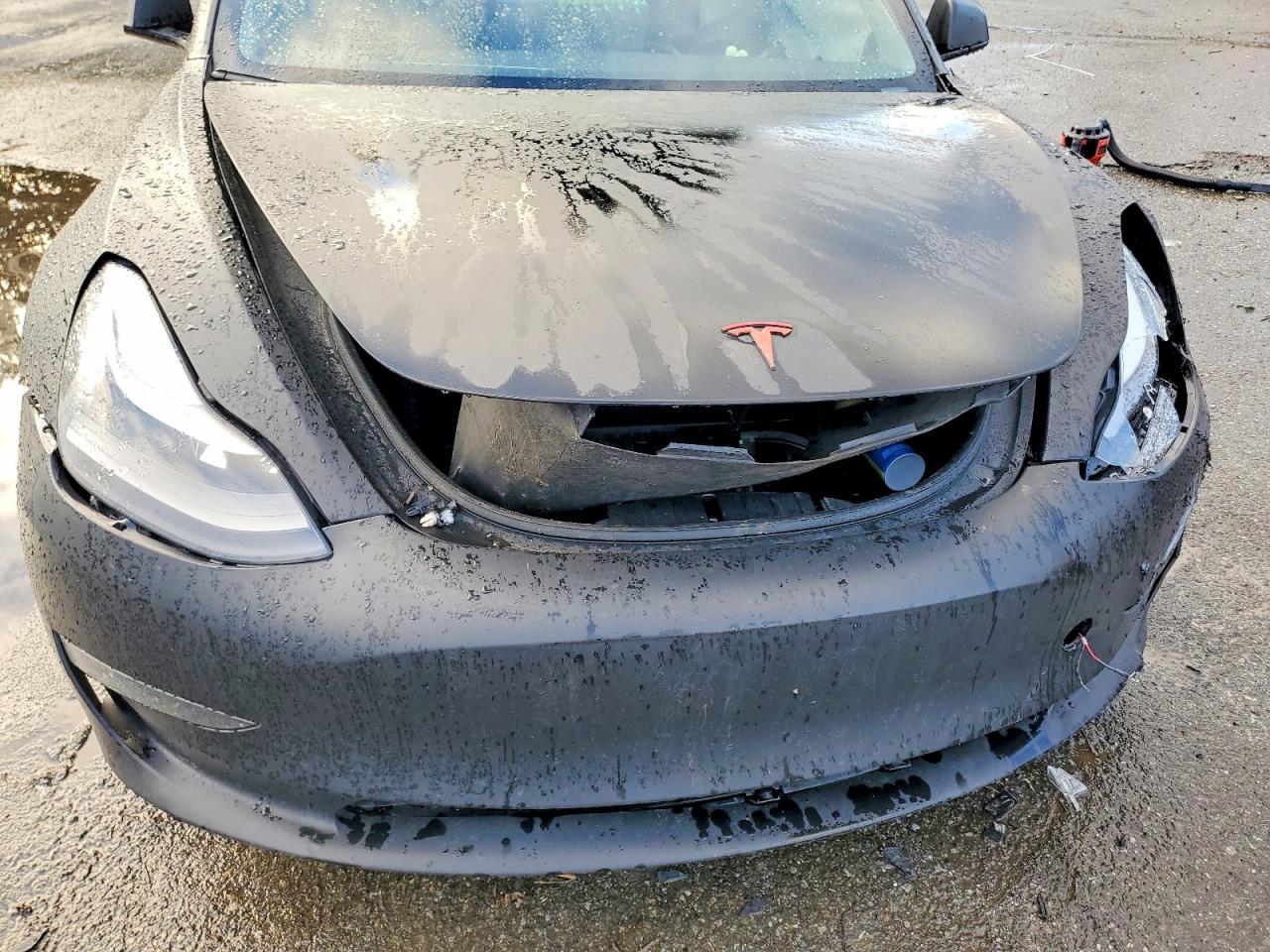 2022 TESLA MODEL 3 photo 11