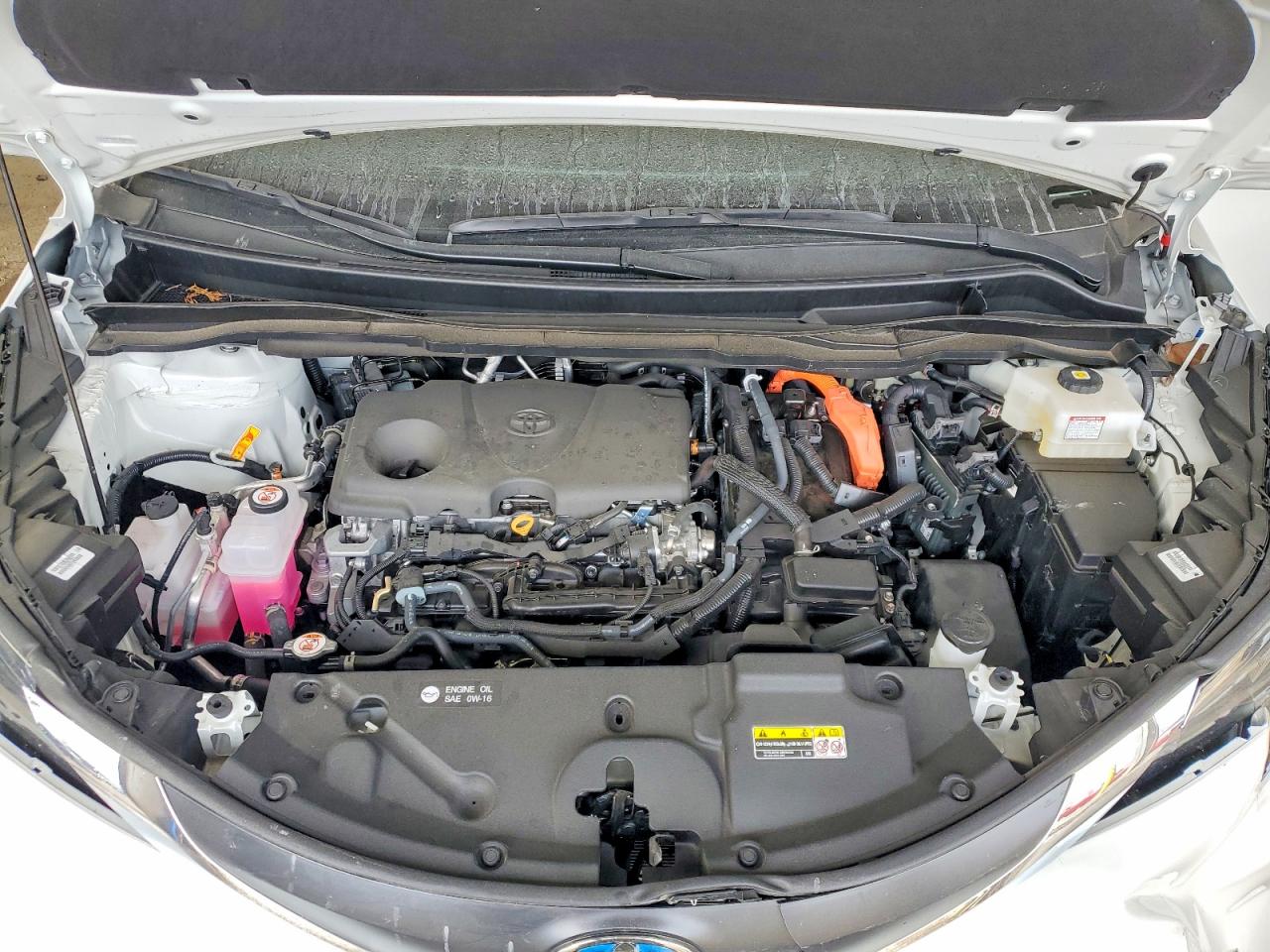 2025 TOYOTA SIENNA XLE photo 12