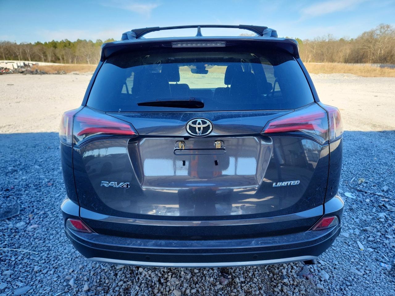 2017 TOYOTA RAV4 LIMITED photo 6