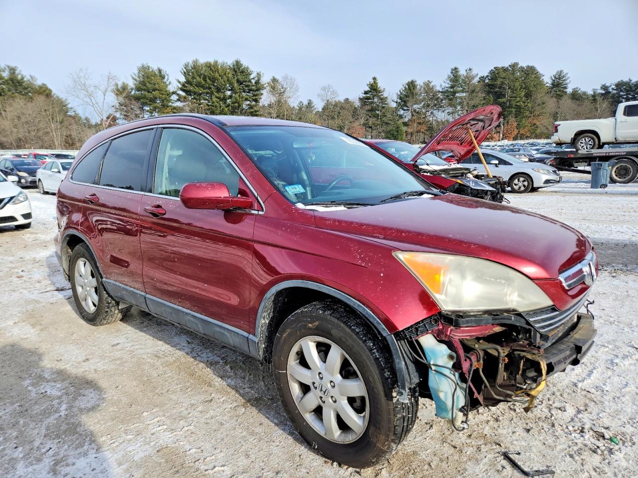 2007 HONDA CR-V EXL photo 4
