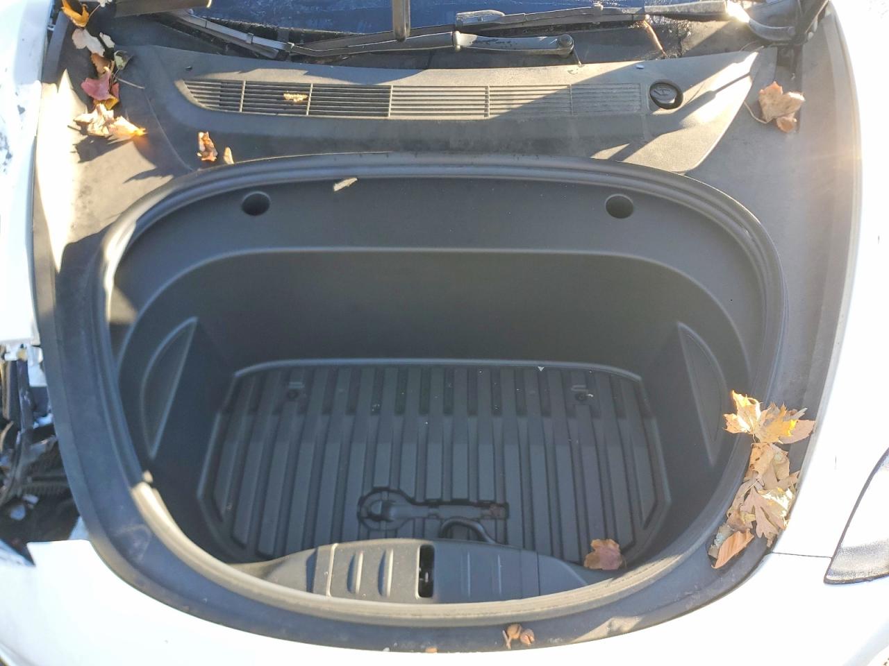 2022 TESLA MODEL 3 photo 11