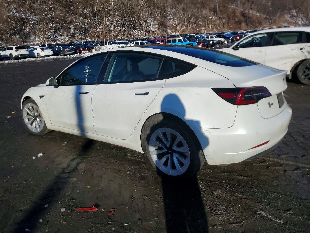 2022 TESLA MODEL 3 photo 2