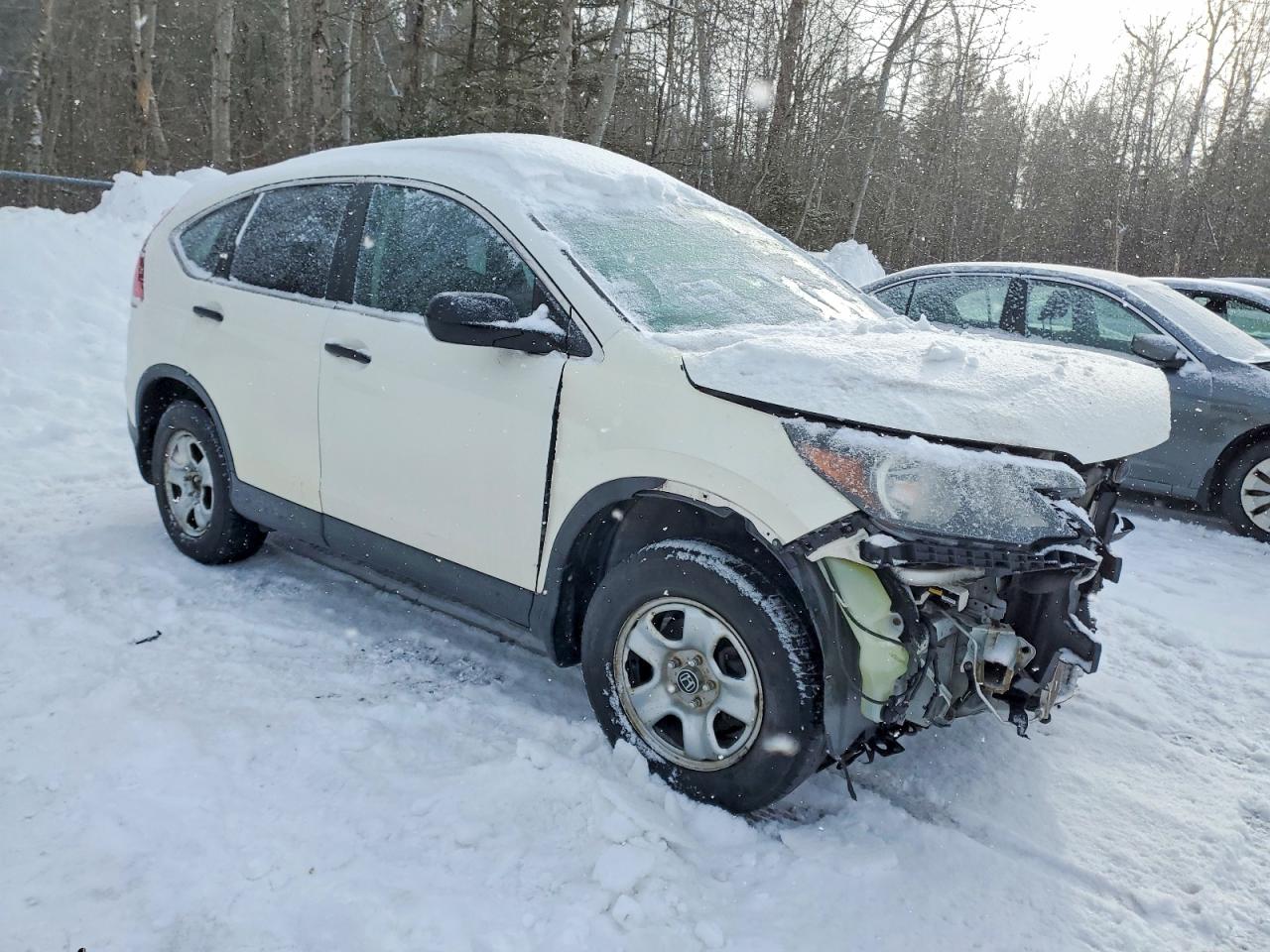 2014 HONDA CR-V LX photo 4