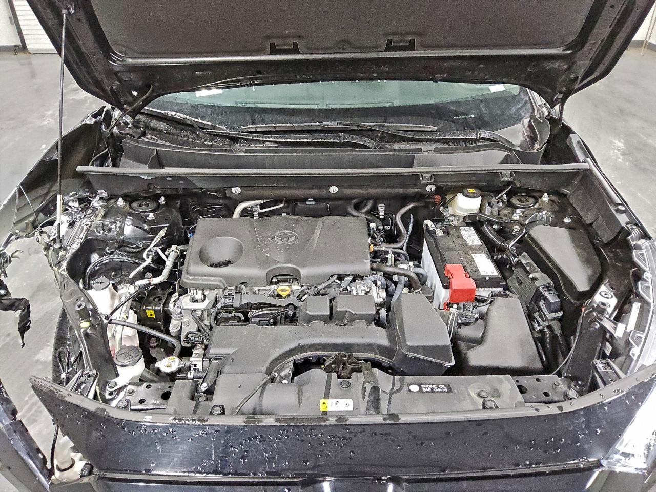 2025 TOYOTA RAV4 XLE photo 12