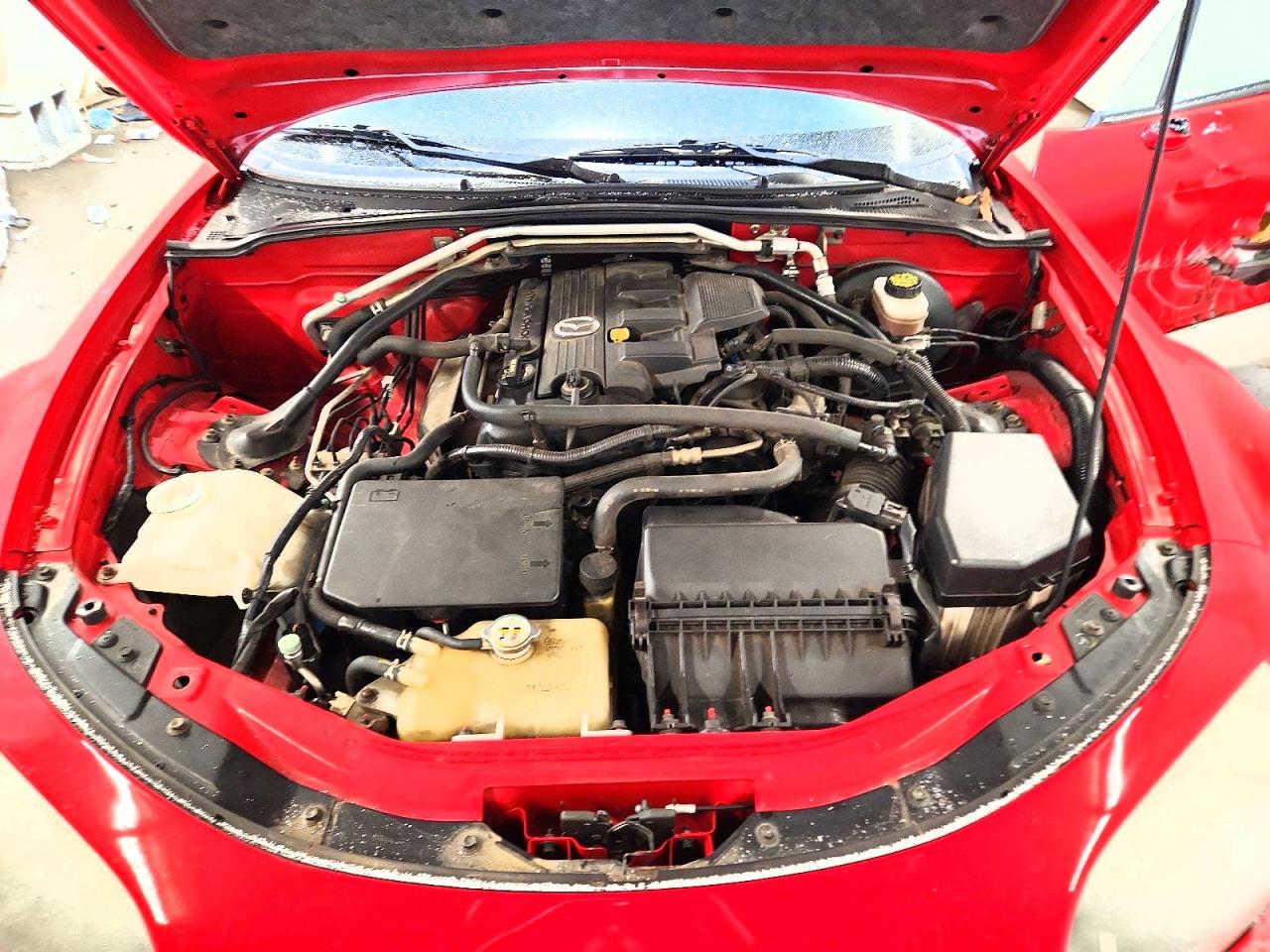2006 MAZDA MX-5 MIATA photo 11
