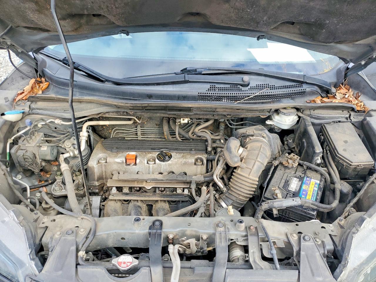 2014 HONDA CR-V LX photo 12