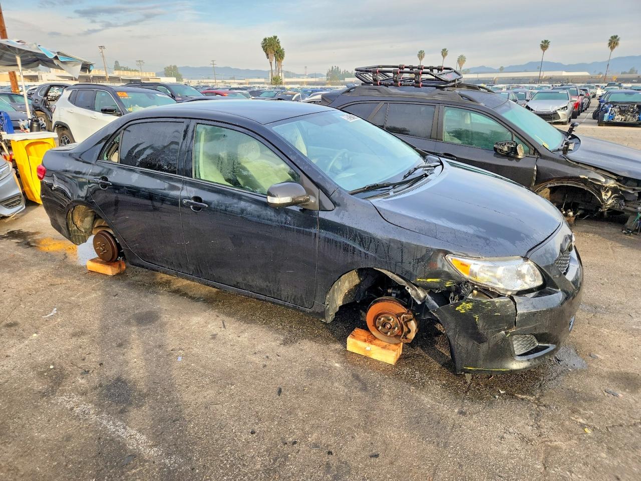 2009 TOYOTA COROLLA BASE photo 4