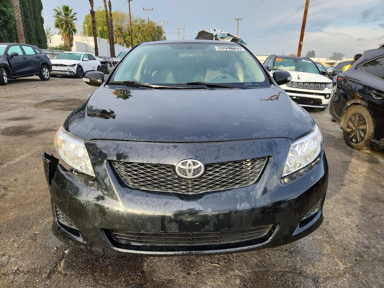 2009 TOYOTA COROLLA BASE photo 5