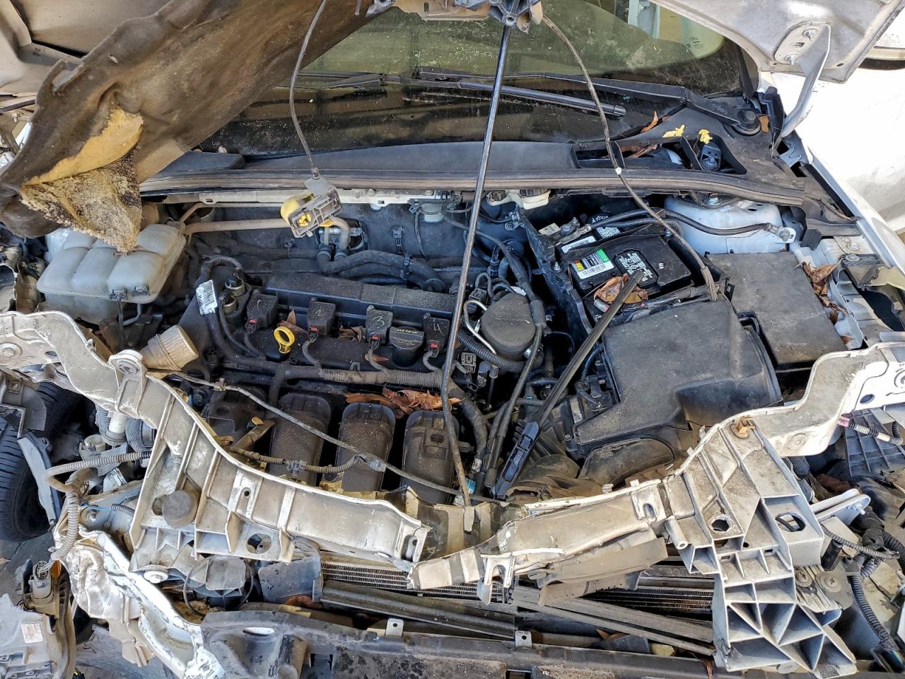 2014 FORD FOCUS SE photo 11